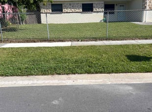 Jane H.'s Lawn Care service result