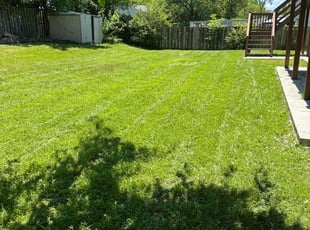 Monica L.'s Lawn Service service result