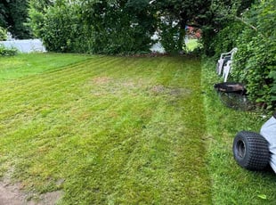 Joe L.'s Lawn Care service result