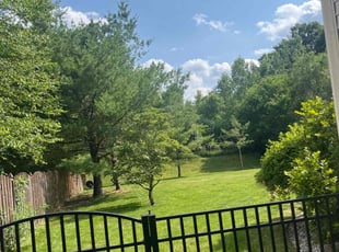 David T.'s Grass Cutting service result