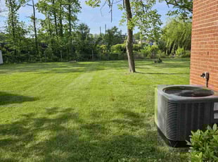 Sherri M.'s Lawn Mowing Service service result