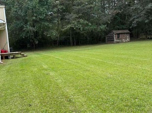 gloria d.'s Lawn Care service result