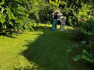 Courtney T.'s Lawn Care service result