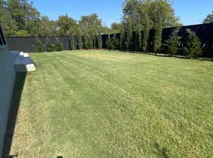 Walter A.'s Grass Cutting service result