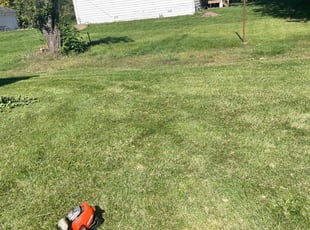 Sandra T.'s Lawn Service service result
