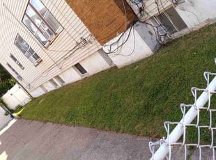 Bush Trimming by Joseph Kazlau for Tony D. in Paterson, NJ