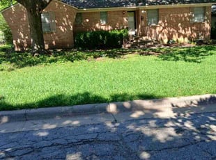 Leaf Removal by Valente Alvarado for Adam P. in Dallas, TX