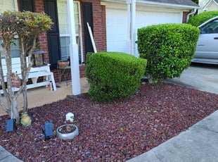Bush Trimming by Jamie Paul for Lana S. in Fayetteville, GA