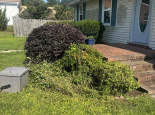 Weeding by Justin Norris for Kevin L. in Chesapeake, VA