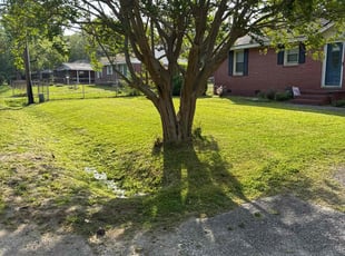 Dave O.'s Grass Cutting service result