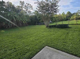 Sabrina R.'s Lawn Service service result