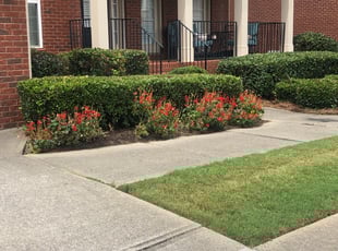 Bush Trimming by Jon Jarrell for Ami D. in Alpharetta, GA