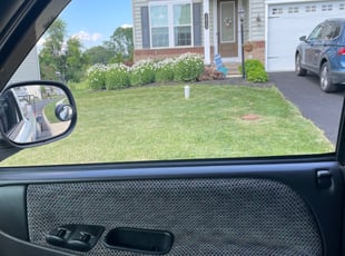 Timothy H.'s Grass Cutting service result
