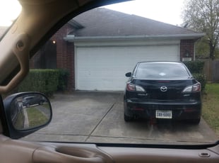 Bush Trimming by Chris Ferrell for Denise E. in Cypress, TX