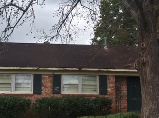 Bush Trimming by Brandon Sanders for Lawrence G. in North Charleston, SC