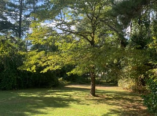 Alice W.'s Lawn Mowing service result