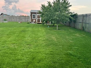 Stephanie K.'s Lawn Care service result