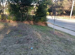Leaf Removal by Nanda Cherry for Kai A. in Atlanta, GA