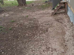 Brittany K.'s Cleanups service result