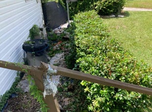 Bush Trimming by Robert Martin for Betty T. in Bartow, FL
