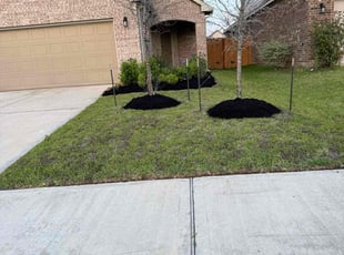 Mulching by Roberto Villalobos for Jennifer L. in Katy, TX