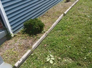 Bush Trimming by Dontai Jackson for Stefan G. in Jeffersonville, IN