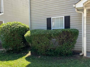 Bush Trimming by Eric Garcia for Keshia F. in Stockbridge, GA