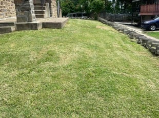 Bill H.'s Lawn Mowing Service service result