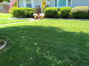 Bush Trimming by Lamonte Yates for Tish B. in Richmond, VA