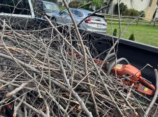 Cleanups by Jason Scott for Richard R. in Gaithersburg, MD