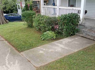 Bush Trimming by Antavious Douglas for John C. in Atlanta, GA