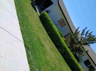 Frank T.'s Lawn Care service result