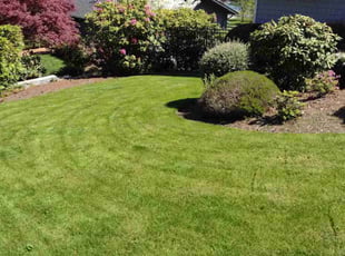 Judy H.'s Lawn Care service result