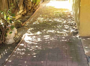 Dana L.'s Bush Trimming service result