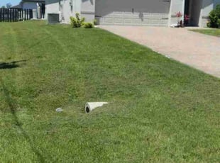 Peter F.'s Lawn Care service result