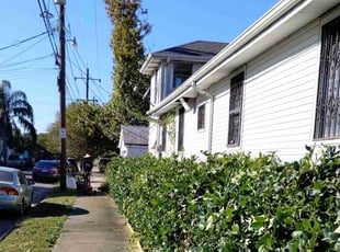 Leaf Removal by Dre Whitley for Carolyn j. in New Orleans, LA