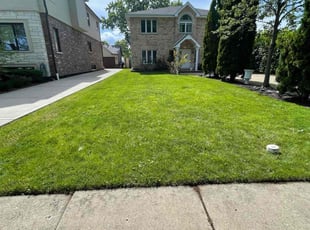 Linda H.'s Lawn Care service result