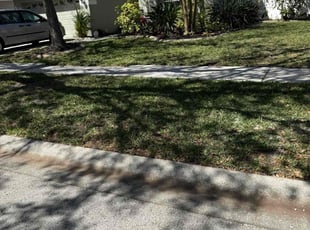 Leaf Removal by William Chavers for Brian J. in Apollo Beach, FL