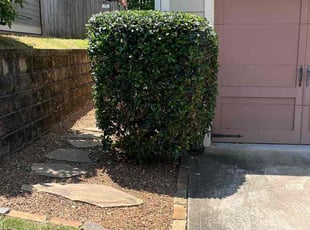 Bush Trimming by Yolanda Torres for Jordyn C. in Canton, GA