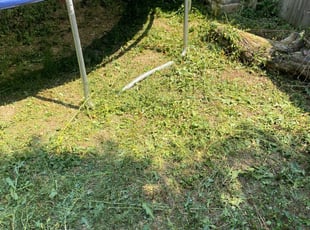 Weeding by Paul Man for Thera A. in Denver, CO