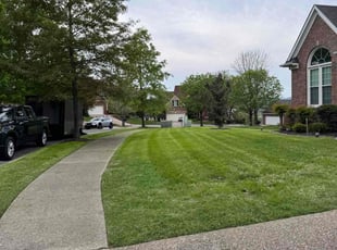 Kristina J.'s Lawn Mowing Service service result