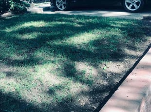 Leaf Removal by jeremy wilkinson for Patrick K. in Kansas City, MO