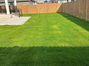 Kelly S.'s Lawn Mowing service result