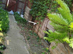 Leaf Removal by Robert Doedy for Sofia V. in Milwaukee, WI