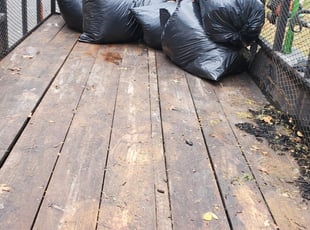 Leaf Removal by Steven Solis for Felicia C. in Cedar Park, TX