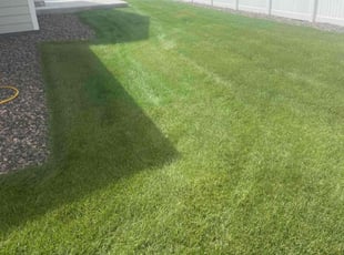 Chris M.'s Lawn Care service result