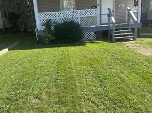 Ashraf S.'s Lawn Mowing service result