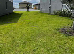 Malika D.'s Lawn Mowing Service service result