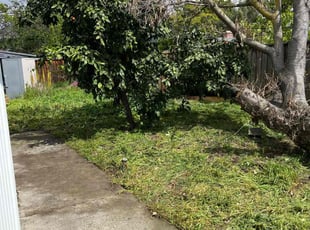 Cleanups by Amador Avila Haro for Calvin S. in San Jose, CA