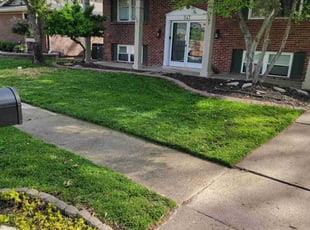 Suzanne A.'s Grass Cutting service result
